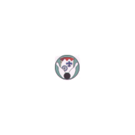 App-Icon